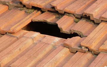 roof repair Vicarage, Devon